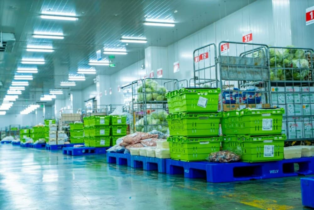 Nhà kho bảo quản nông sản, thủy sản xuất khẩu – Giải pháp chống ẩm, chống mốc, đảm bảo tiêu chuẩn xuất khẩu